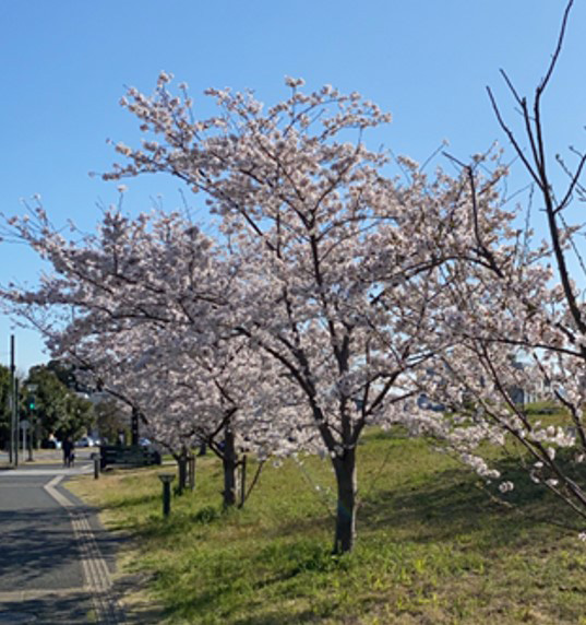 光畑裕司教授が着任しました。